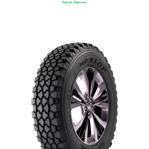 SP TGR